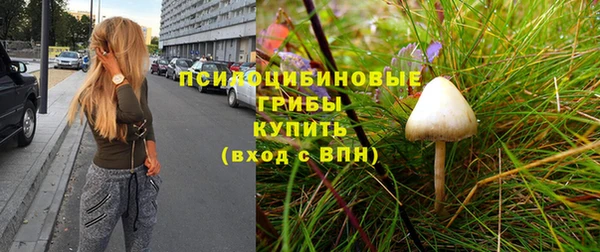 а пвп мука Абаза
