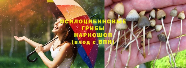 гидропоника Абинск